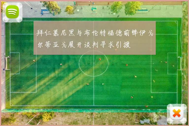 拜仁慕尼黑与布伦特福德前锋伊戈尔蒂亚戈展开谈判寻求引援