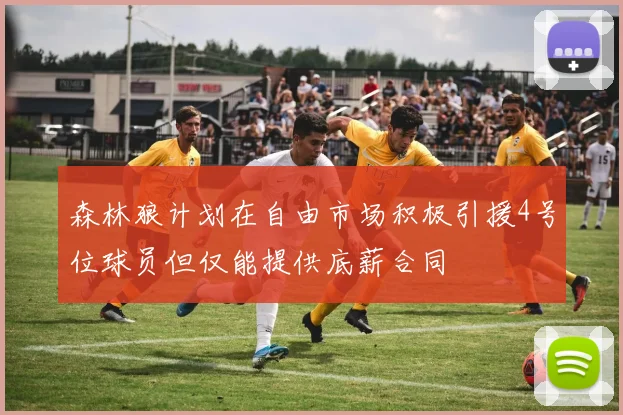 森林狼计划在自由市场积极引援4号位球员但仅能提供底薪合同